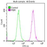 TSPO Antibody in Flow Cytometry (Flow)