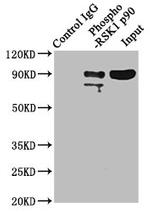 Phospho-RSK1 (Thr359, Ser363) Antibody in Western Blot (WB)