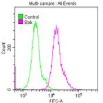 BAK Antibody in Flow Cytometry (Flow)