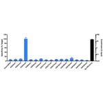 H3K4me3 Antibody in ChIP Assay (ChIP)