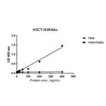 H3K9ac Antibody in ELISA (ELISA)