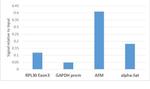 H3K9me1 Antibody in ChIP Assay (ChIP)