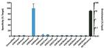 H3K9me1 Antibody