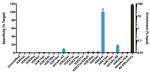 H4K8ac Antibody in ChIP Assay (ChIP)