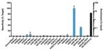 H4K12ac Antibody