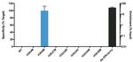 H3 K9M oncohistone mutant Antibody in ChIP Assay (ChIP)