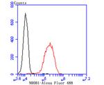 NR0B1 Antibody in Flow Cytometry (Flow)