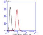 CRMP1 Antibody in Flow Cytometry (Flow)