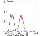 MATR3 Antibody in Flow Cytometry (Flow)