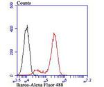 IKAROS Antibody in Flow Cytometry (Flow)