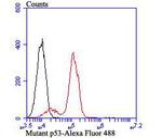 p53 Antibody in Flow Cytometry (Flow)