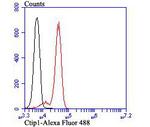 BCL11A Antibody in Flow Cytometry (Flow)