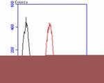 Gelsolin Antibody in Flow Cytometry (Flow)