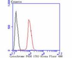 CYP17A1 Antibody in Flow Cytometry (Flow)