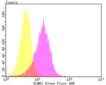 ELMO1 Antibody in Flow Cytometry (Flow)