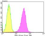 SAE1 Antibody in Flow Cytometry (Flow)