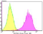 SULT2A1 Antibody in Flow Cytometry (Flow)