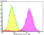 SF3B3 Antibody in Flow Cytometry (Flow)