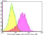 Fibrinogen gamma Antibody in Flow Cytometry (Flow)