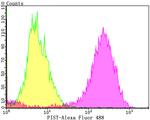 PIST Antibody in Flow Cytometry (Flow)