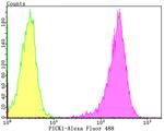 PICK1 Antibody in Flow Cytometry (Flow)