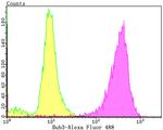 Bub3 Antibody in Flow Cytometry (Flow)