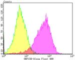 HYOU1 Antibody in Flow Cytometry (Flow)