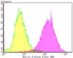 Nectin 2 Antibody in Flow Cytometry (Flow)