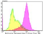 METAP2 Antibody in Flow Cytometry (Flow)