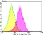 CYP27A1 Antibody in Flow Cytometry (Flow)