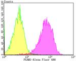 PGAM1 Antibody in Flow Cytometry (Flow)