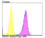 PEN2 Antibody in Flow Cytometry (Flow)