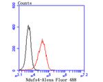 NDUFS4 Antibody in Flow Cytometry (Flow)