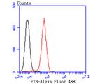 ADAP Antibody in Flow Cytometry (Flow)