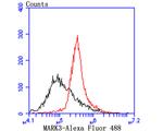 MARK3 Antibody in Flow Cytometry (Flow)