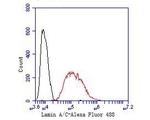 Lamin A/C Antibody in Flow Cytometry (Flow)