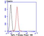 SCN9A Antibody in Flow Cytometry (Flow)