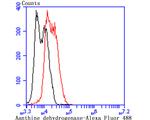 XDH Antibody in Flow Cytometry (Flow)