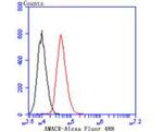 AMACR Antibody in Flow Cytometry (Flow)