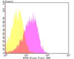 ATF6 Antibody in Flow Cytometry (Flow)