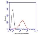 Cytokeratin 17 Antibody in Flow Cytometry (Flow)