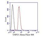 USP21 Antibody in Flow Cytometry (Flow)