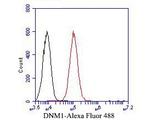 Dynamin 1 Antibody in Flow Cytometry (Flow)