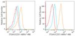 CD51 Antibody in Flow Cytometry (Flow)