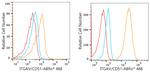 CD51 Antibody in Flow Cytometry (Flow)