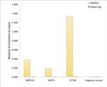 KDM5A Antibody in ChIP Assay (ChIP)