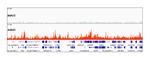 Histone H3.3 Antibody in ChIP-Sequencing (ChIP-seq)