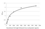 Influenza B NP Antibody in ELISA (ELISA)