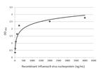 Influenza B NP Antibody in ELISA (ELISA)