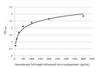 Influenza B NP Antibody in ELISA (ELISA)